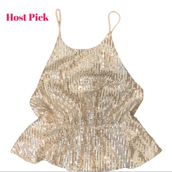 Zara Tops - Zara Trafaluc Sequin Crop Top